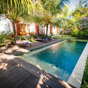 Flamboyant Ubud
